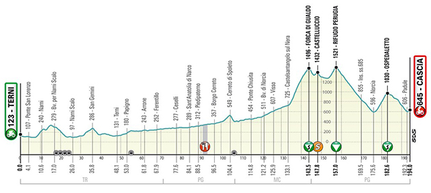 Stage 4 profile